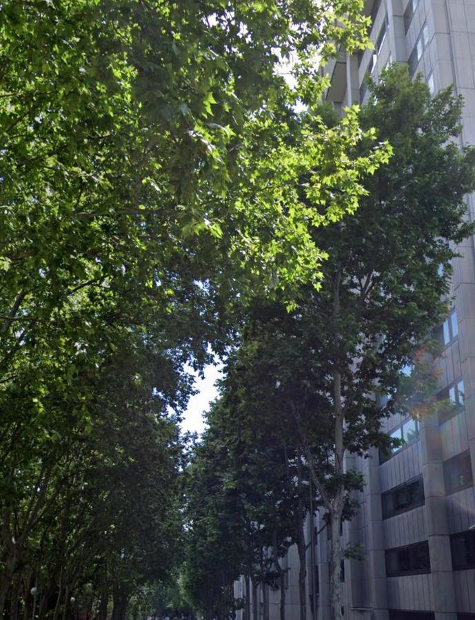Bernabeu, Luxury Y Luminoso Apartamento Entero Madrid Exterior foto